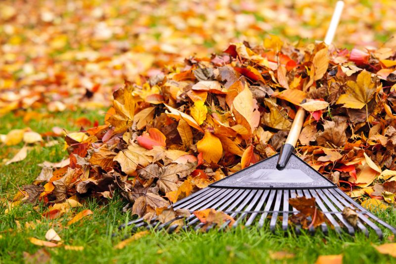 Mulched Leaves on Lawn
