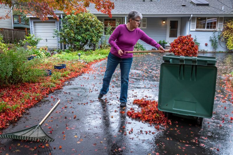 Clear and Tidy Yard