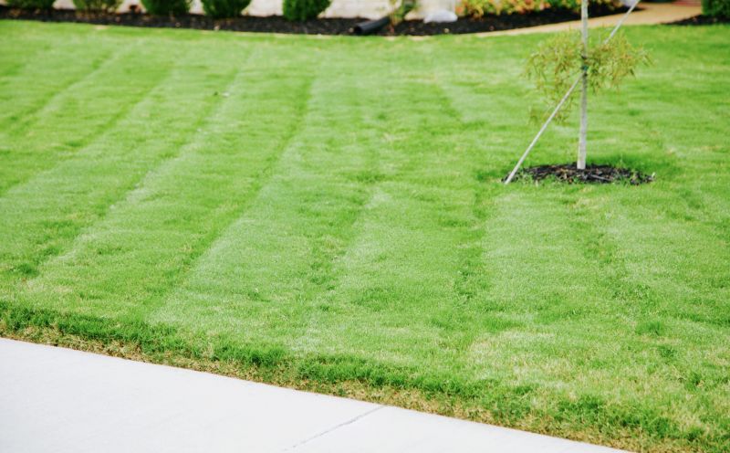 Lawn Border Installation