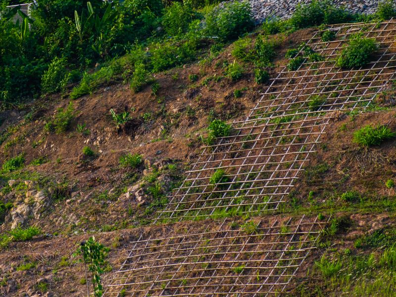 Silt Fence in Action